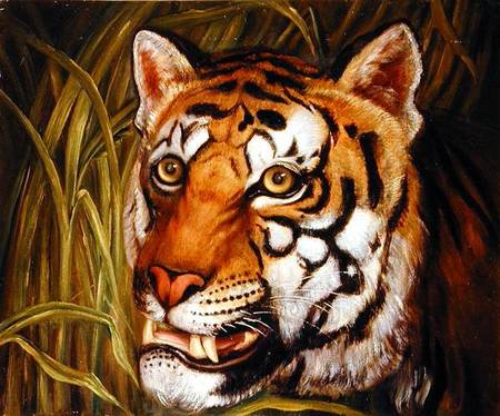 Tiger, tiger burning bright... from English School