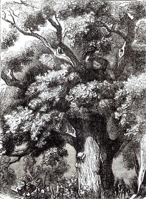 Charles II (1630-85) Hidden in the Oak Tree, 14th October 1651 (engraving) (b&w photo) from English School, (19th century)