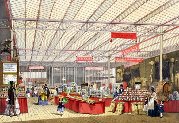 Colonial Produce in the Great Exhibition of 1851, from Dickinson's Comprehensive Pictures (coloured from English School, (19th century)