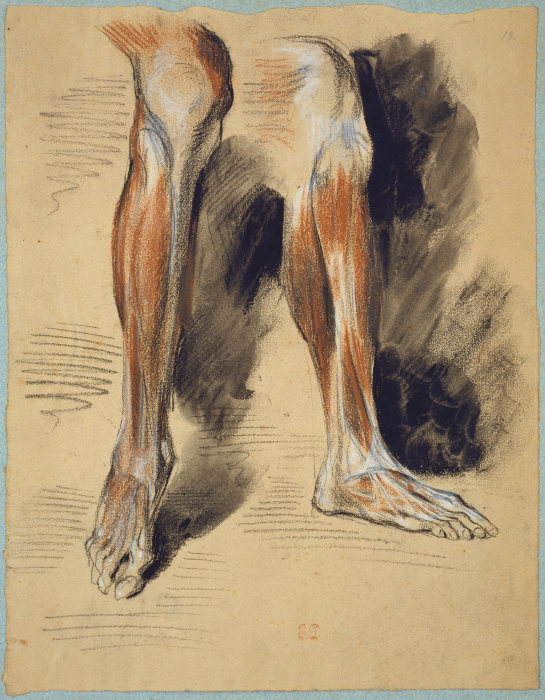 Studies of a right Leg from Eugène Delacroix