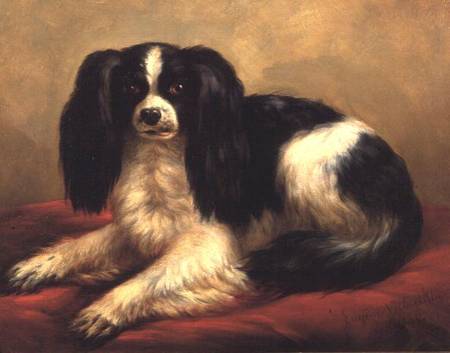 A King Charles Spaniel Seated on a Red Cushion from Eugène Joseph Verboeckhoven