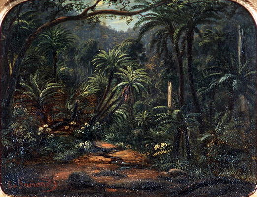Ferntree Gully in the Dandenong Ranges, 1857 (oil on canvas on cedar panel) from Eugene von Guerard