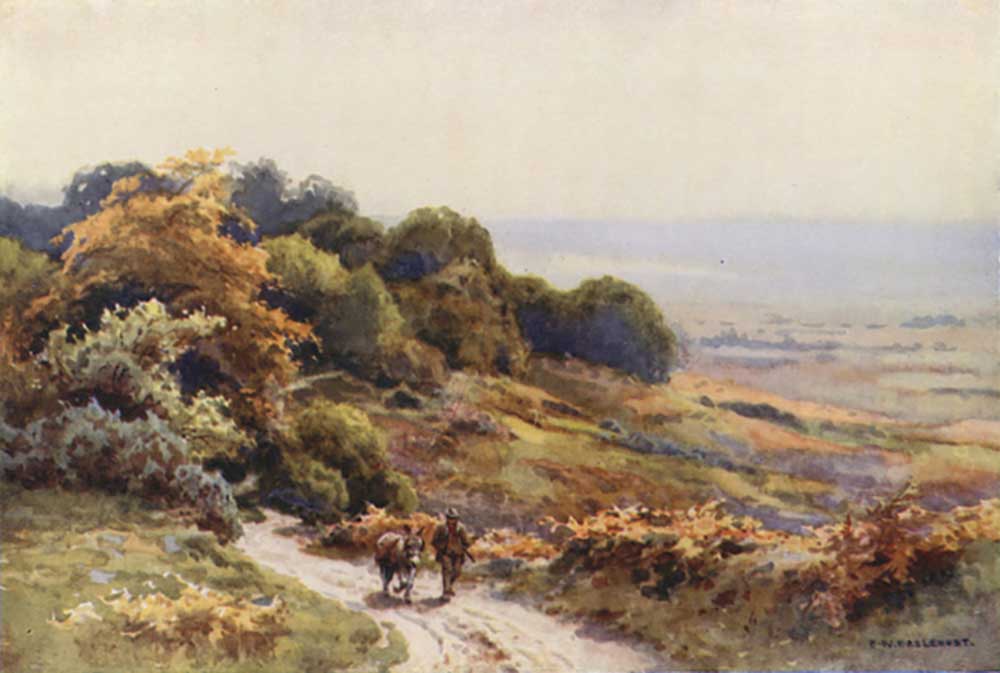 Burley Moor from E.W. Haslehust