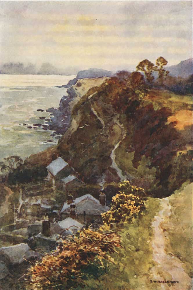 Steephill Cove from E.W. Haslehust