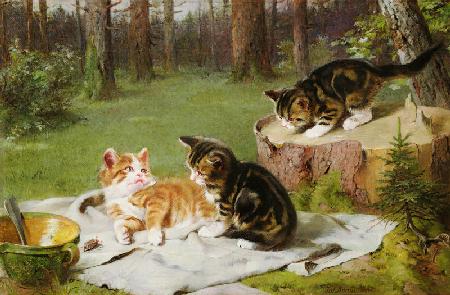 Kittens Playing (oil on canvas)