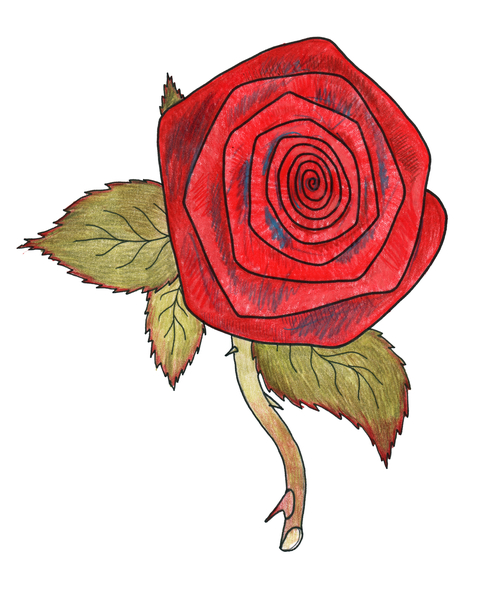 Rose 1 from Faisal Khouja