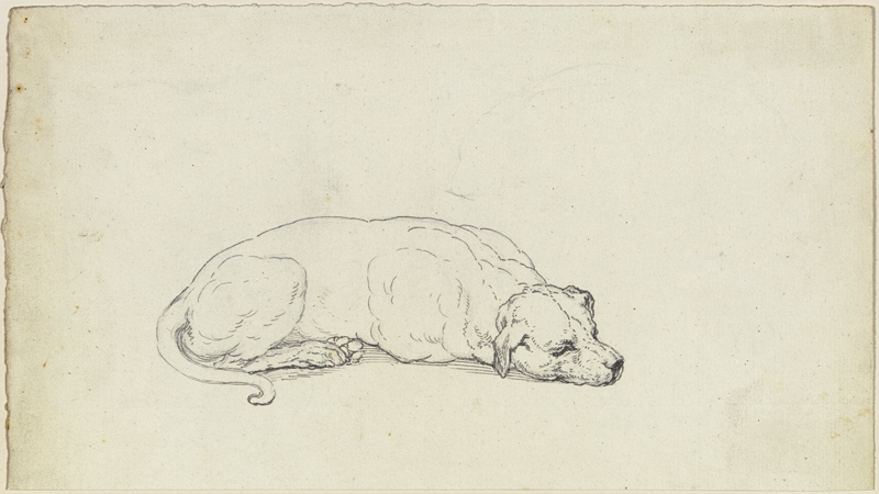 Sleeping dog from Ferdinand Fellner