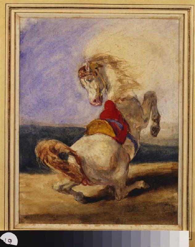 Aufbäumendes Pferd. from Ferdinand Victor Eugène Delacroix