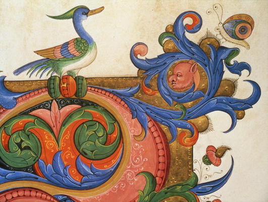 Missal 515 f.92v Zoomorphic foliage with duck-like bird and butterfly, detail of decoration surround from Filippo di Matteo Torelli