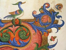 Missal 515 f.92v Zoomorphic foliage with duck-like bird and butterfly, detail of decoration surround