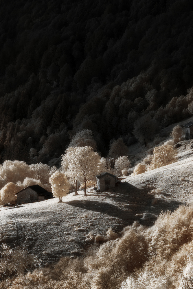 Infrared dream from Filippo Manini