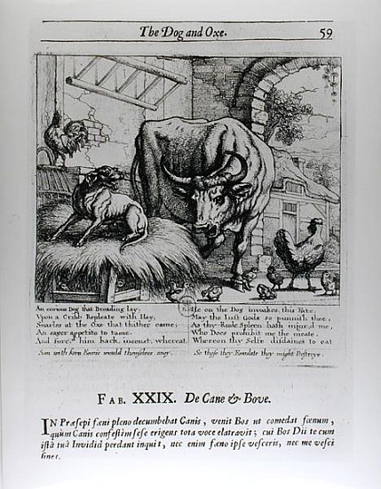 Illustration for ''The Dog and the Ox'', from Aesop''s Fables from Francis Barlow