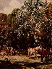 A hold in the timber forest. from Francisco Domingo Marqués