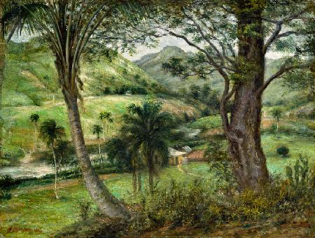 Mountain countryside of Guaraguao (Puerto Rico)