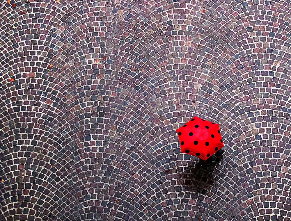 urban ladybug from Franco Maffei