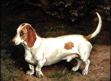 A Favourite Dachsund from Frank Paton
