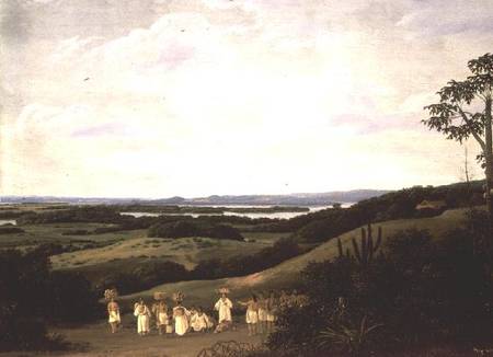 Panoramic View in Brazil with a River in the Distance  (pair of 61465) from Frans Post