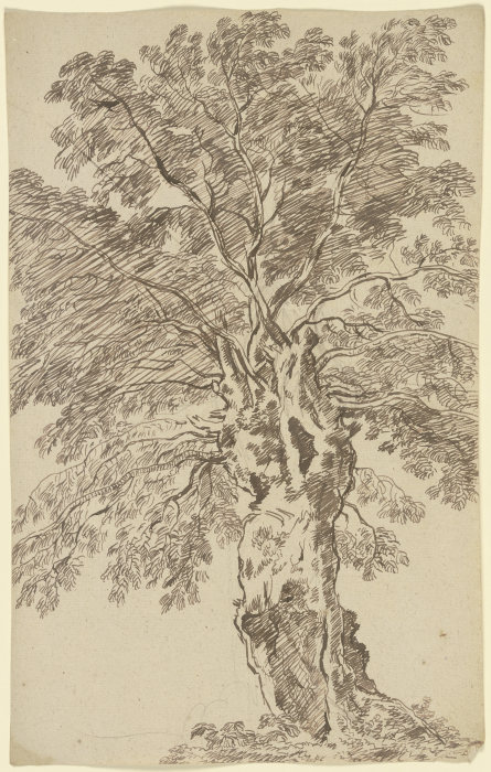Old tree from Franz Innocenz Josef Kobell