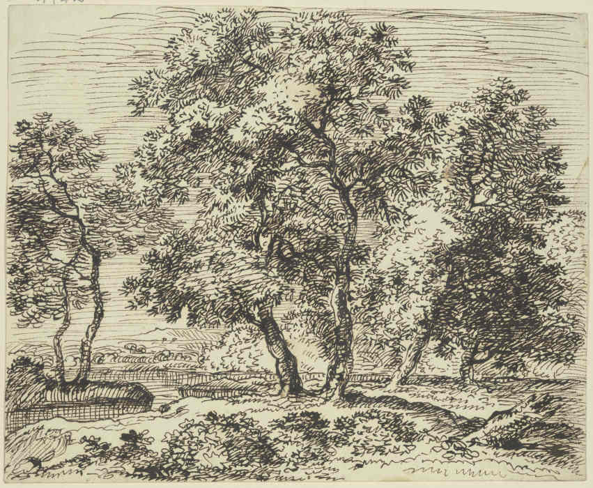 High grove of trees from Franz Innocenz Josef Kobell