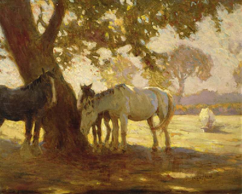 In the Shade (oil on canvas) from Fred Hall
