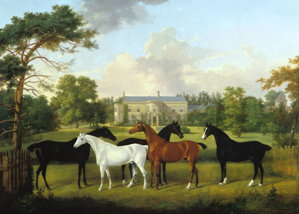 Five racehorses in front of an English country house. from Frederick W. Keyl
