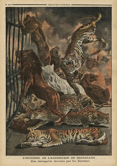The fire at the Universal Exhibition of Brussels, a menagerie being consumed the flames, illustratio from French School