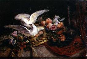 Still Life with Two White Doves