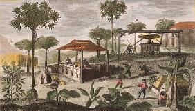 Sugar Refinery, illustration from ''Histoire des Antilles'' Jean Baptiste Labat (1663-1738) (see als