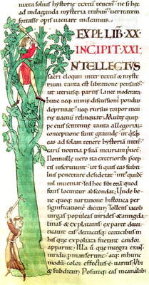 Ms 173 f.41 Historiated inital 'I' depicting a monk and a lay chopping and pruning a tree, from Mora from French School, (12th century)