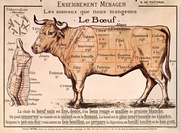 Beef: diagram depicting the different cuts of meat (colour litho) from French School, (20th century)