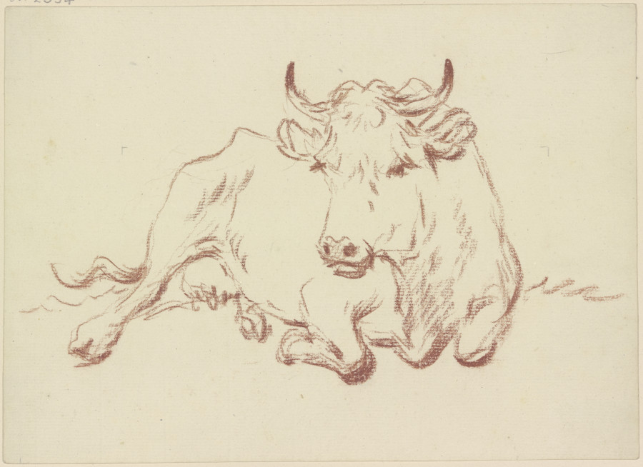 Lying cow en face from Friedrich Wilhelm Hirt