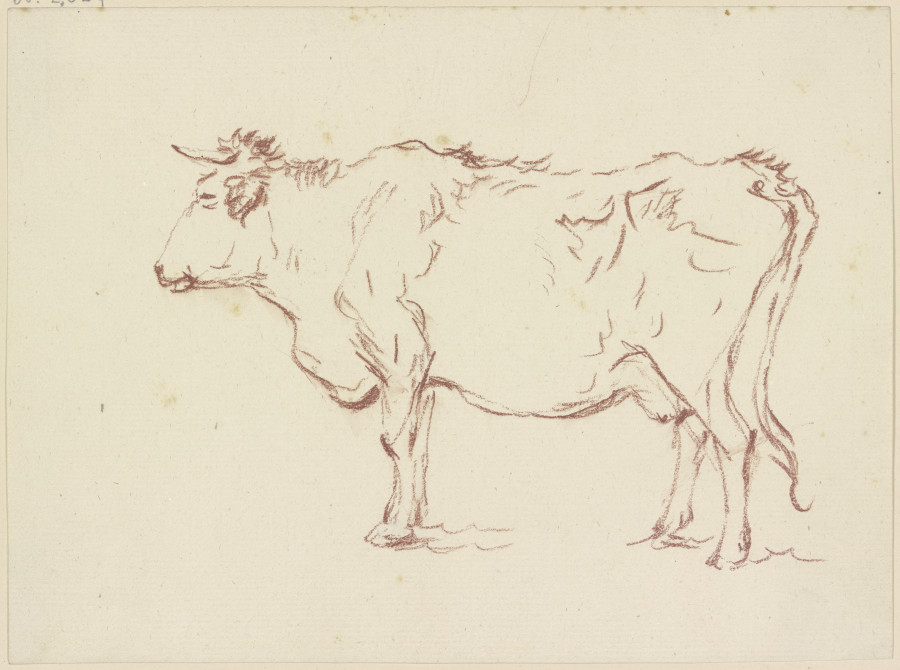 Standing cow to the left from Friedrich Wilhelm Hirt