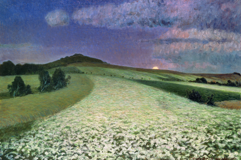 Blossoming buckwheat field. from Fritz Overbeck