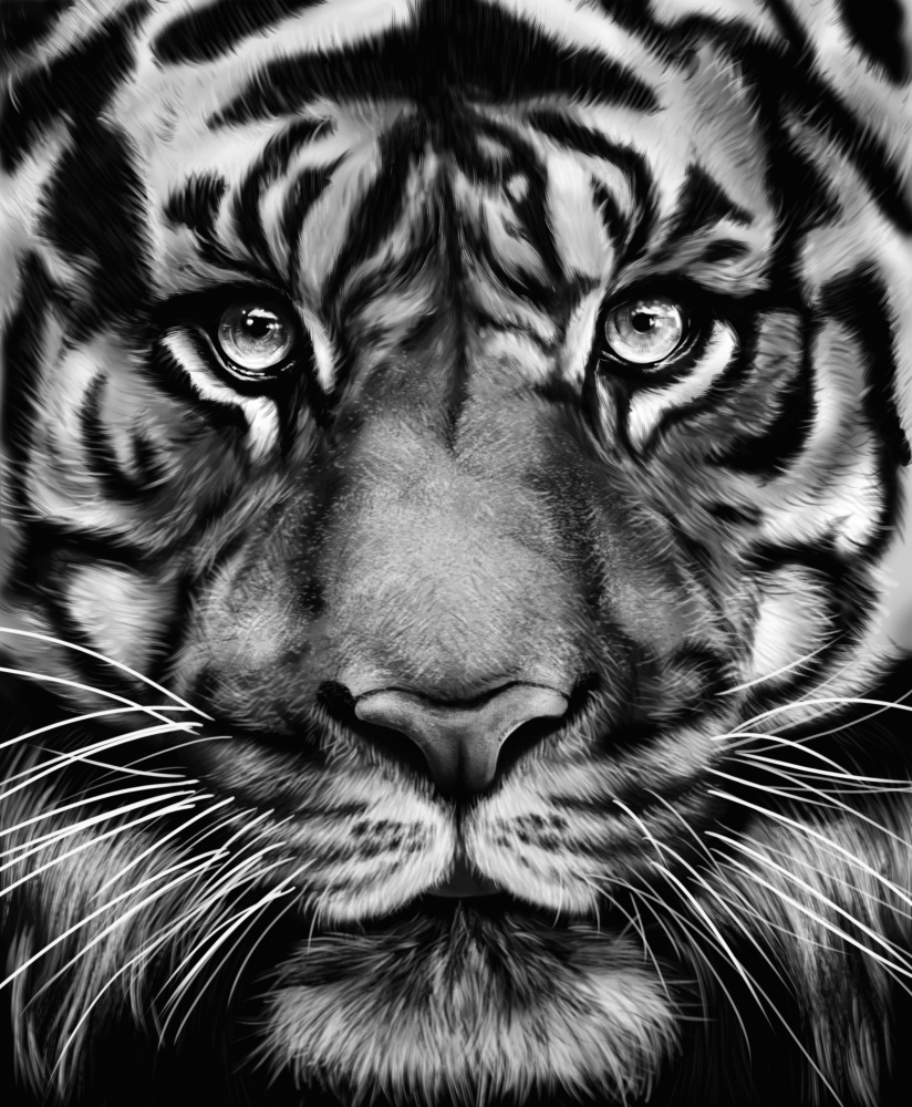 Tiger from Gabriella Roberg