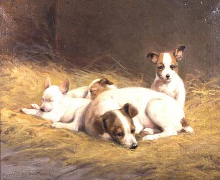 A Terrier with Three Puppies from Gabrielle Rainer-Istuanty