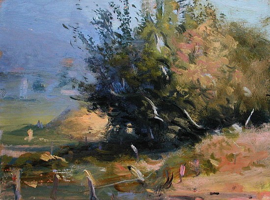 Apple Bush with Fence (oil on canvas)  from Gail  Schulman