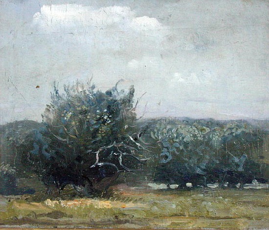 Apple Tree Field (oil on canvas)  from Gail  Schulman