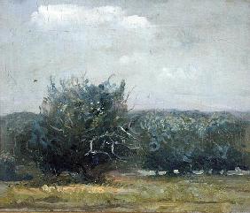 Apple Tree Field (oil on canvas) 