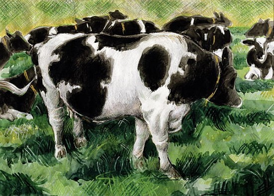 Friesian Cows (w/c)  from Gareth Lloyd  Ball