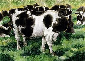Friesian Cows (w/c) 