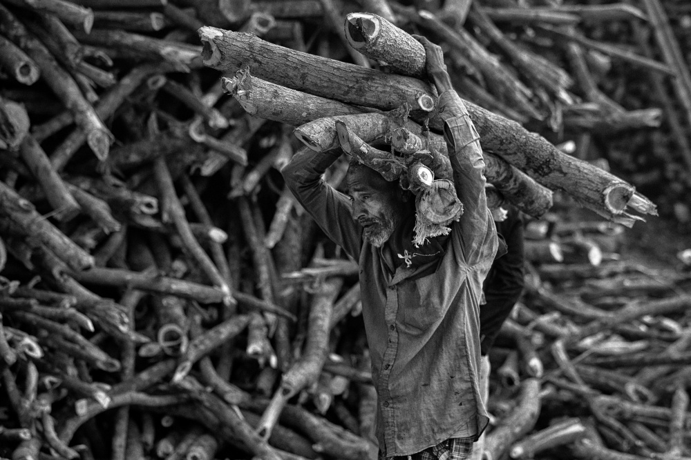 A man carrying wood 6998 from Garik