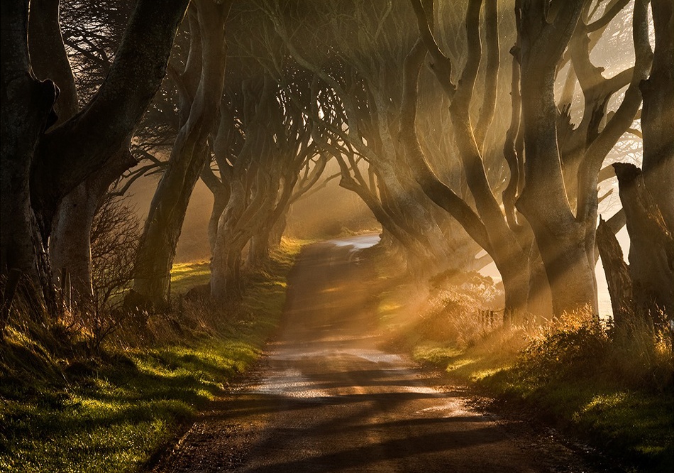 The Road Goes Ever On &amp; On from Gary McParland