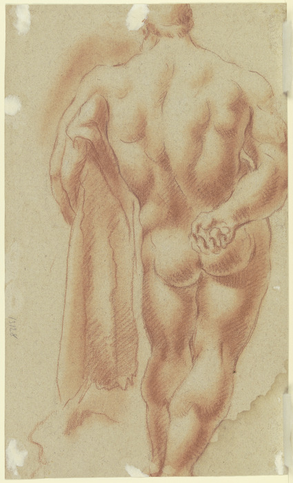 Farnese Hercules from Gaspare Diziani