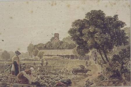 Market Garden at Chelsea from George Barret
