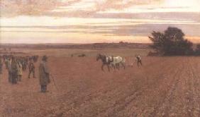 The Ploughing Match