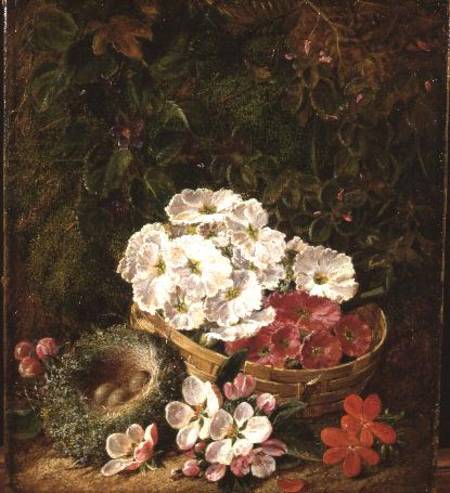 Still life of bird's nest, primulas in a basket and apple blossom from George Clare
