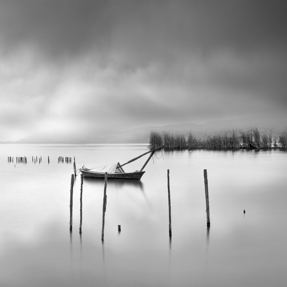 Shades of Gray from George Digalakis