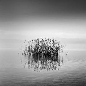 Lake Reflections