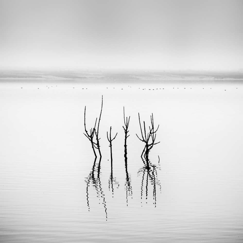 Lake Reflections from George Digalakis
