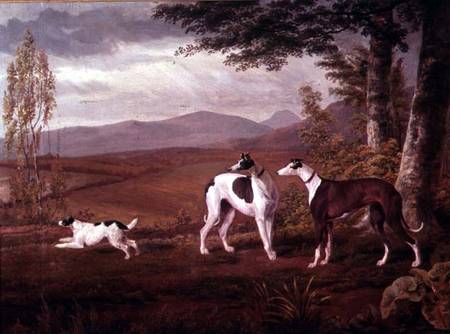 Greyhounds in a Landscape from George Garrard